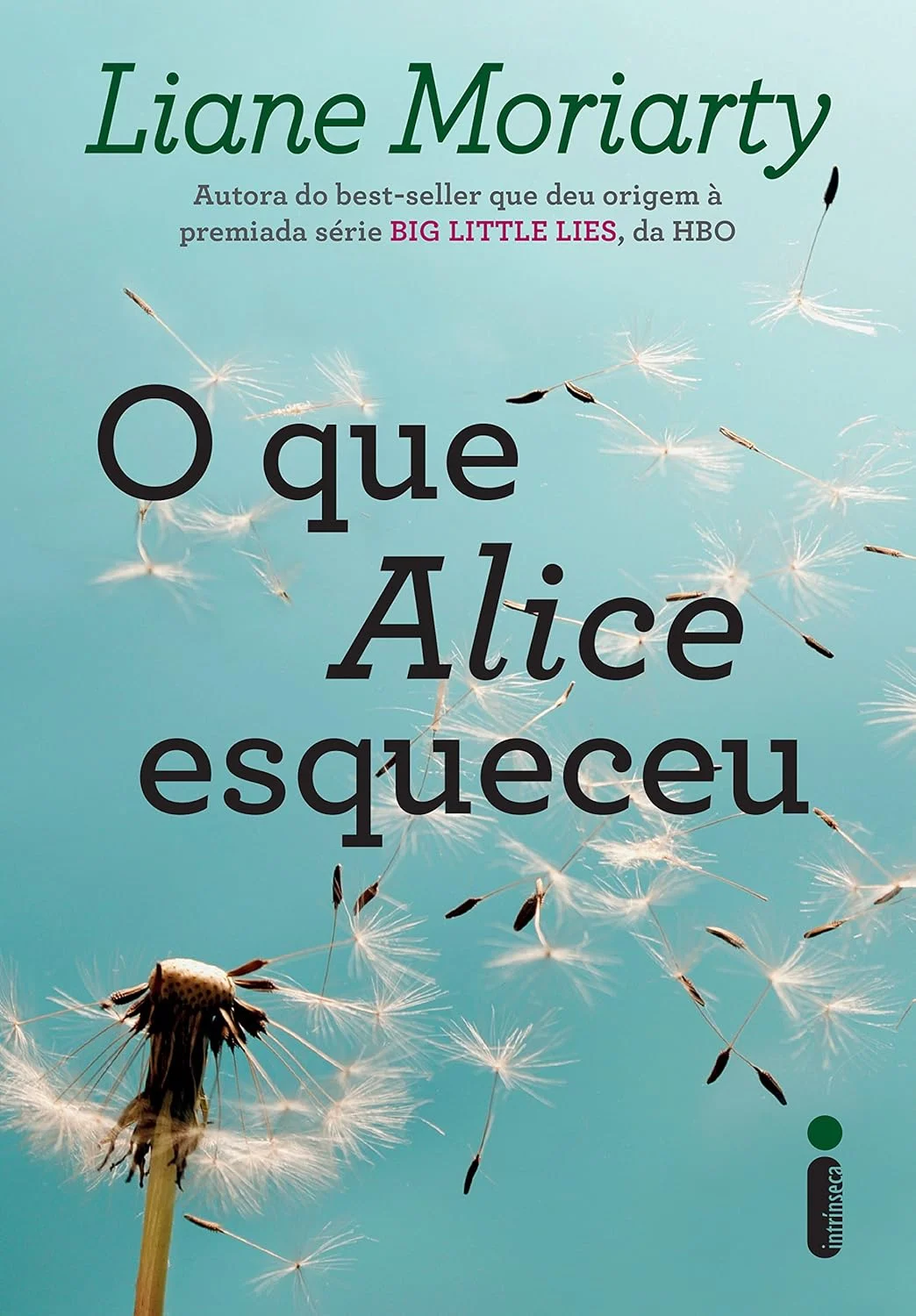 O que Alice Esqueceu, de Liane Moriarty